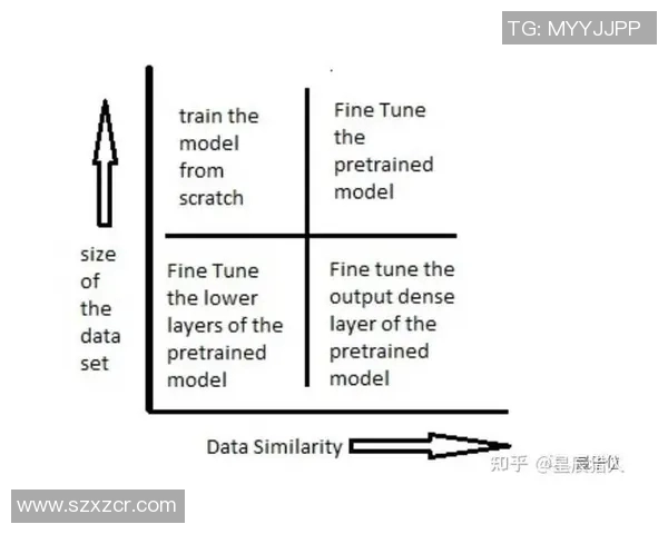 深圳羽毛球队耐力提升之路与训练方法深度解析 深圳羽毛球队耐力提升之路与训练方法深度解析
