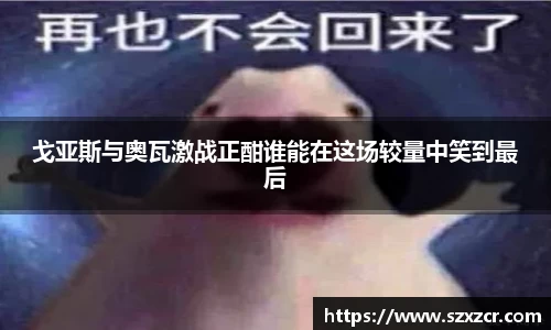 三亿体育