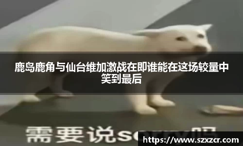 三亿体育官网