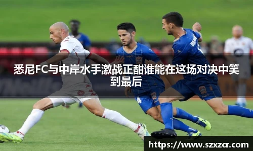 三亿体育平台