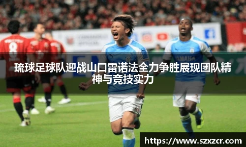 三亿体育APP