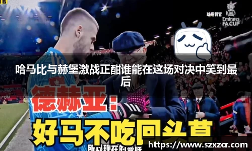 三亿体育平台