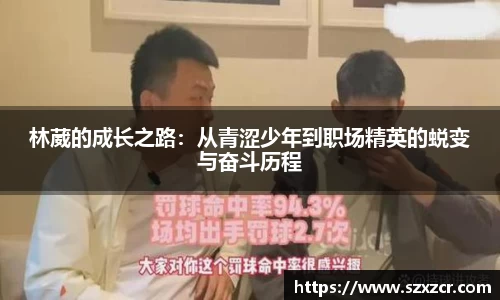 三亿体育APP